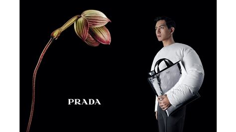 benedict cumberbatch prada campaign|Prada F/W 2023 campaign: “In conversation with a flower”.